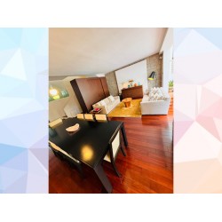 罕有淺水灣花園別墅 (淺水灣)